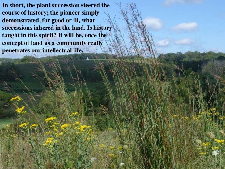 Aldo leopold land ethic essay summary according to leopold, what is the problem with an economically self-interested conservation system?